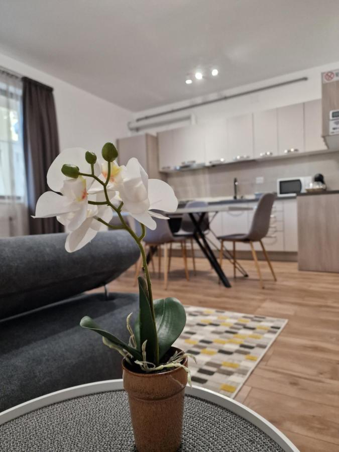 Vic Apartament Drobeta Turnu Severin Dış mekan fotoğraf