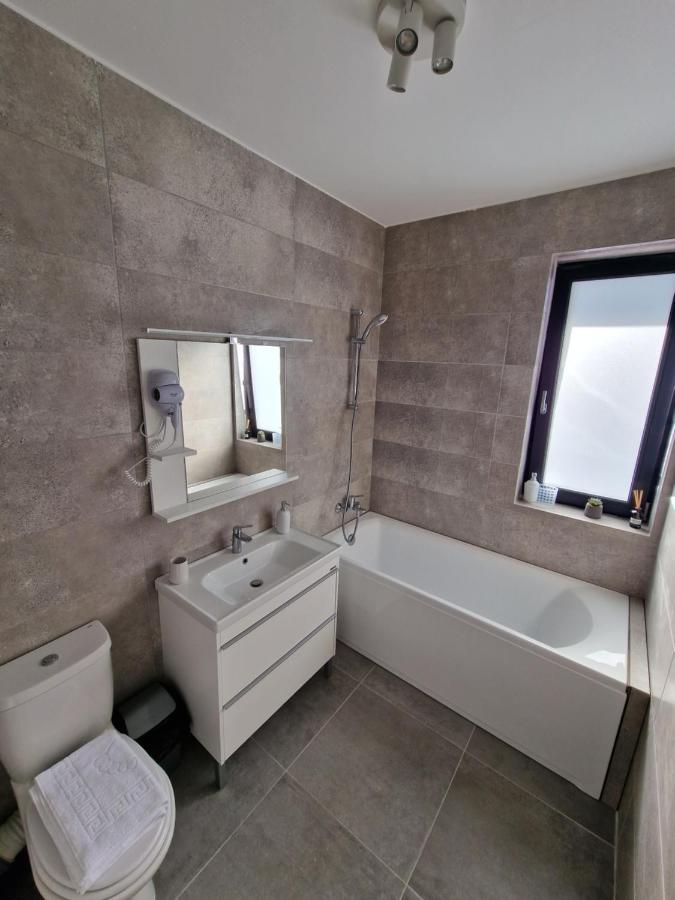 Vic Apartament Drobeta Turnu Severin Dış mekan fotoğraf