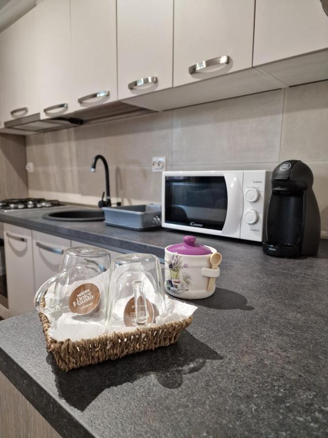 Vic Apartament Drobeta Turnu Severin Dış mekan fotoğraf