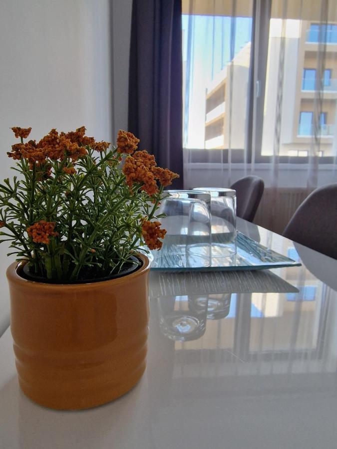 Vic Apartament Drobeta Turnu Severin Dış mekan fotoğraf