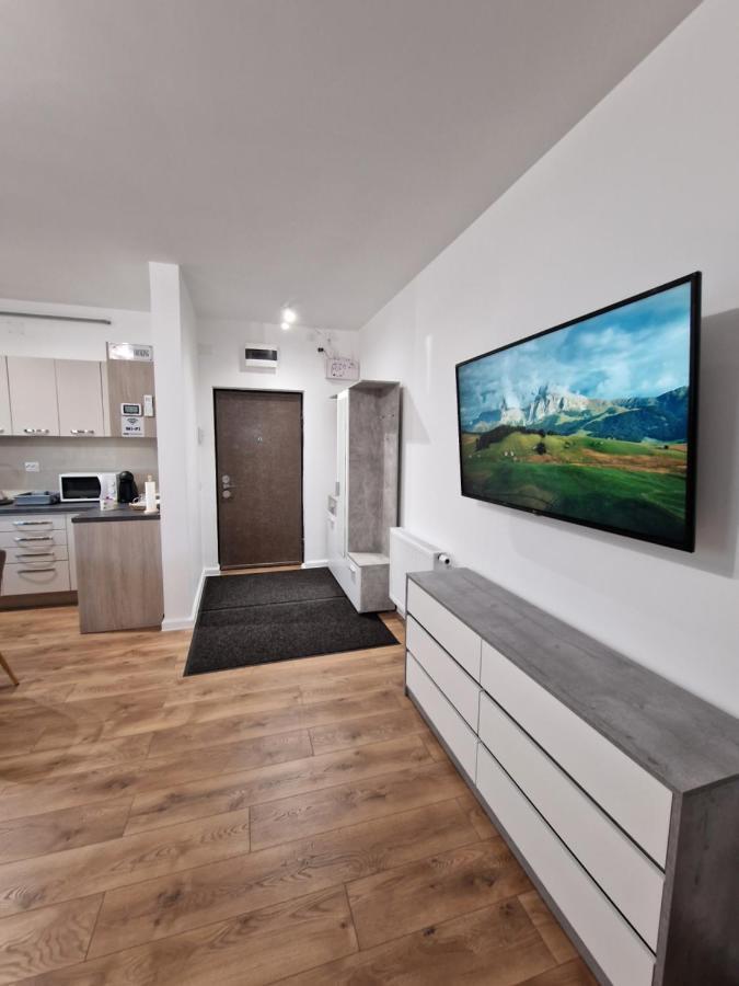 Vic Apartament Drobeta Turnu Severin Dış mekan fotoğraf